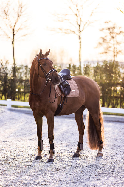 Guetres Lovely - IMPERIAL RIDING