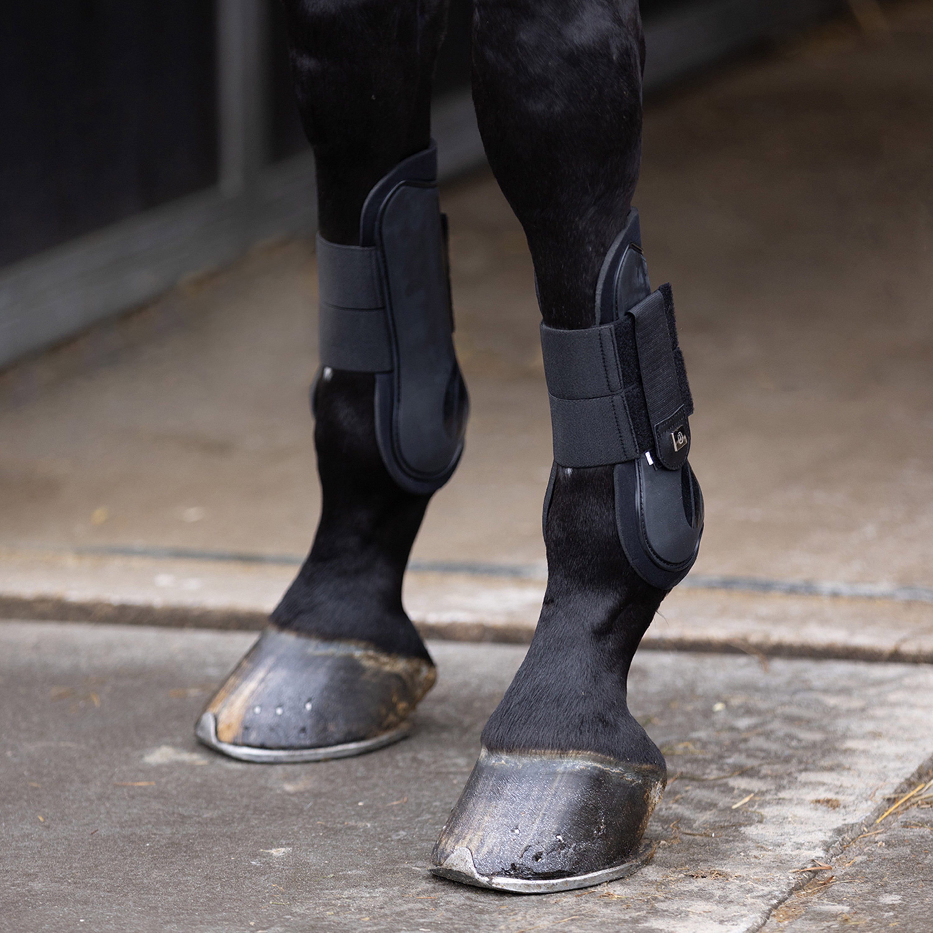 Guetres Lovely - IMPERIAL RIDING