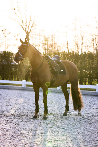 Guetres Lovely - IMPERIAL RIDING