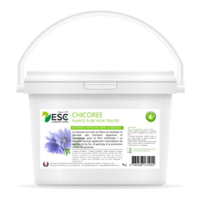 Chicoree Digestion - ESC LABORATOIRE