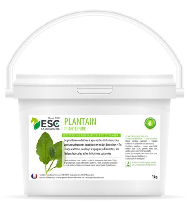 Plantain respiration et irritations cutanées - ESC LABORATOIRE