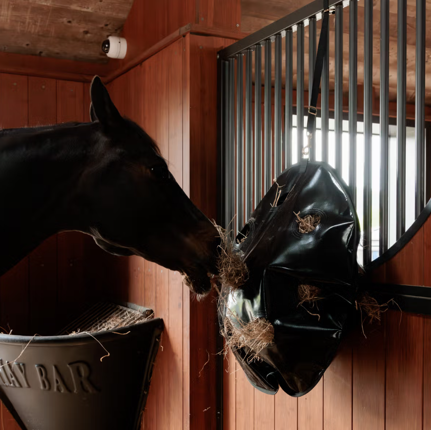 Sac à foin rond Play &amp; Slow feeder - Grooming Deluxe