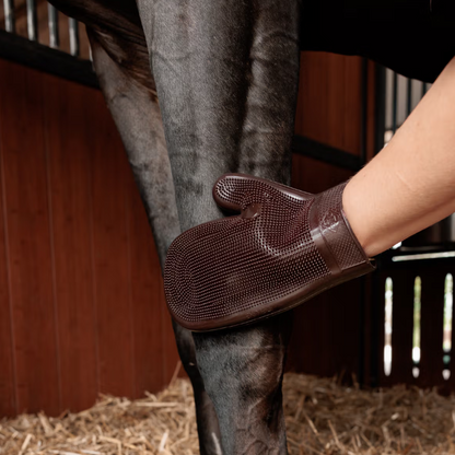 Gant de pansage caoutchouc - Grooming Deluxe