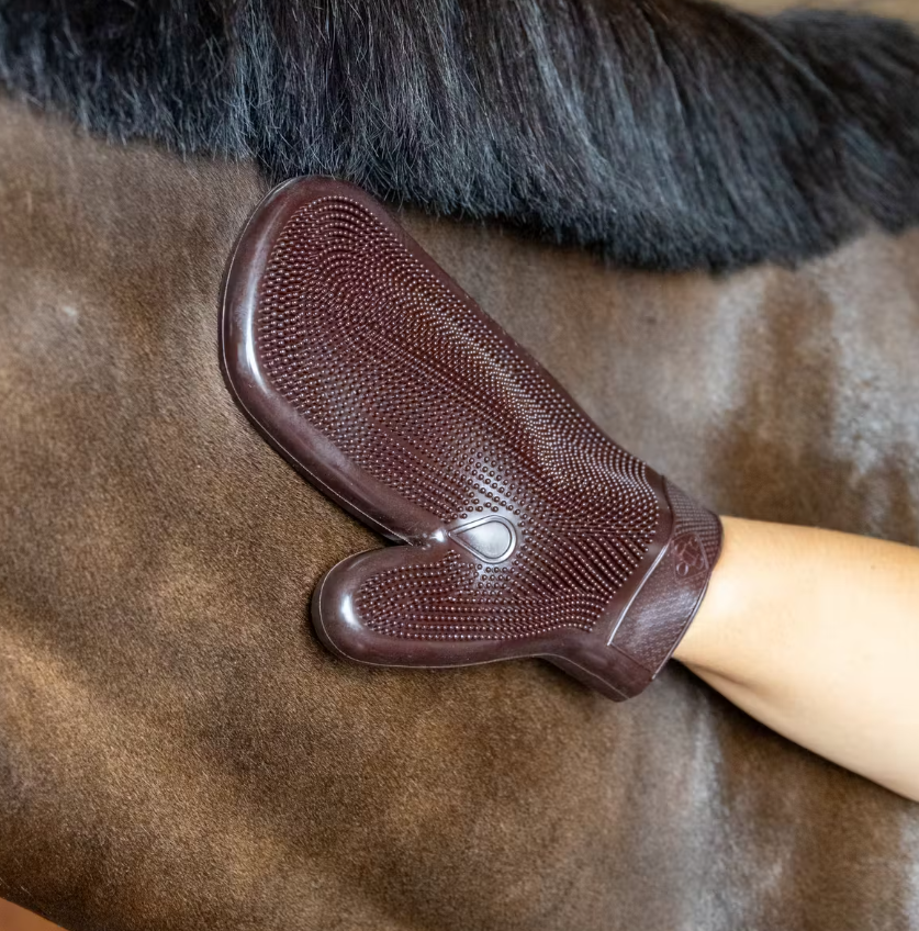 Gant de pansage caoutchouc - Grooming Deluxe