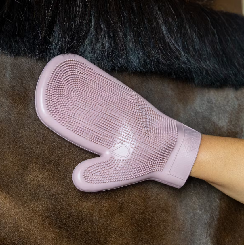 Gant de pansage caoutchouc - Grooming Deluxe