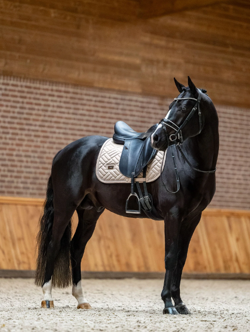 Tapis de selle Modern Sand DRESSAGE - EQUESTRIAN STOCKHOLM