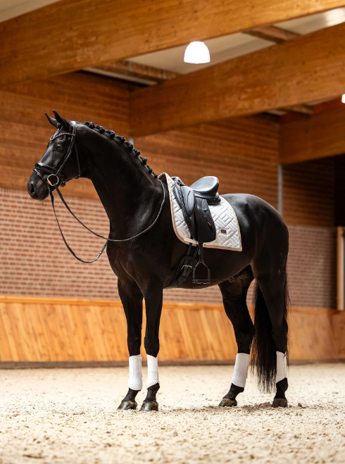 Tapis de dressage Blanc Mordern Sand DRESSAGE - EQUESTRIAN STOCKHOLM