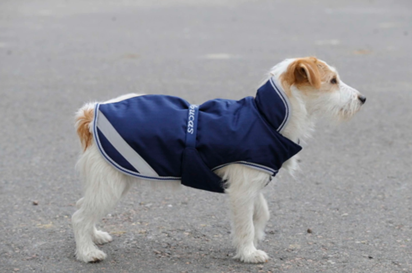 Couverture pour chien Freedom 50g - Bucas