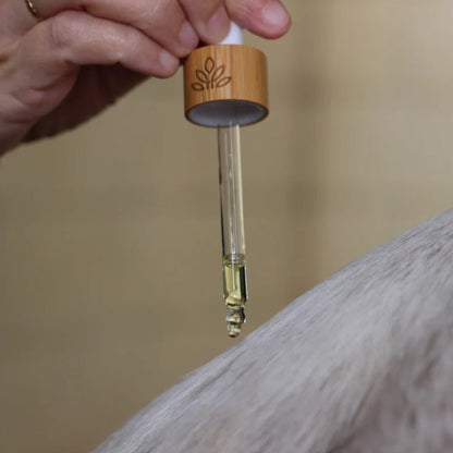 Sérum sublime crins - Nellumbo