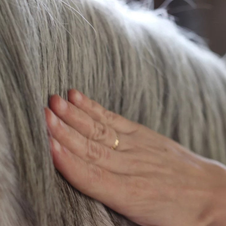 Sérum sublime crins - Nellumbo