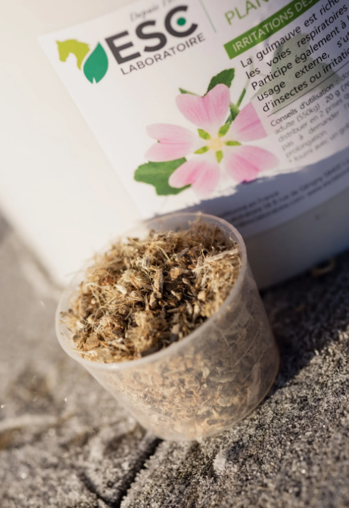 Guimauve Respiration et Estomac Sensible - ESC ABORATOIRE