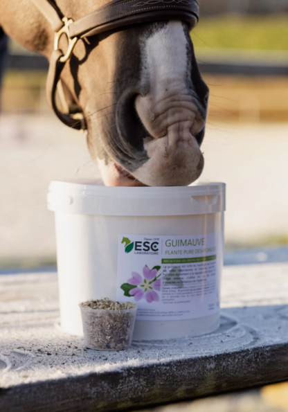 Guimauve Respiration et Estomac Sensible - ESC ABORATOIRE