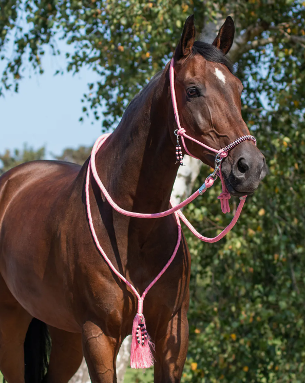 Ensemble Liberty Licol éthologique et cordelette - QHP