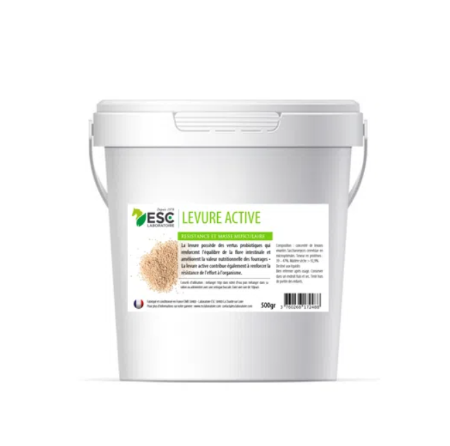 Levure Active + Probiotiques flore intestinale et digestion - ESC LABORATOIRE