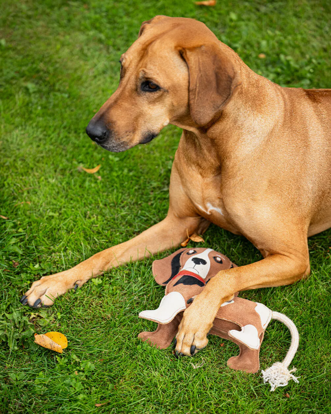 Jouet pour chien 3D beagle - STABLE BUDDY
