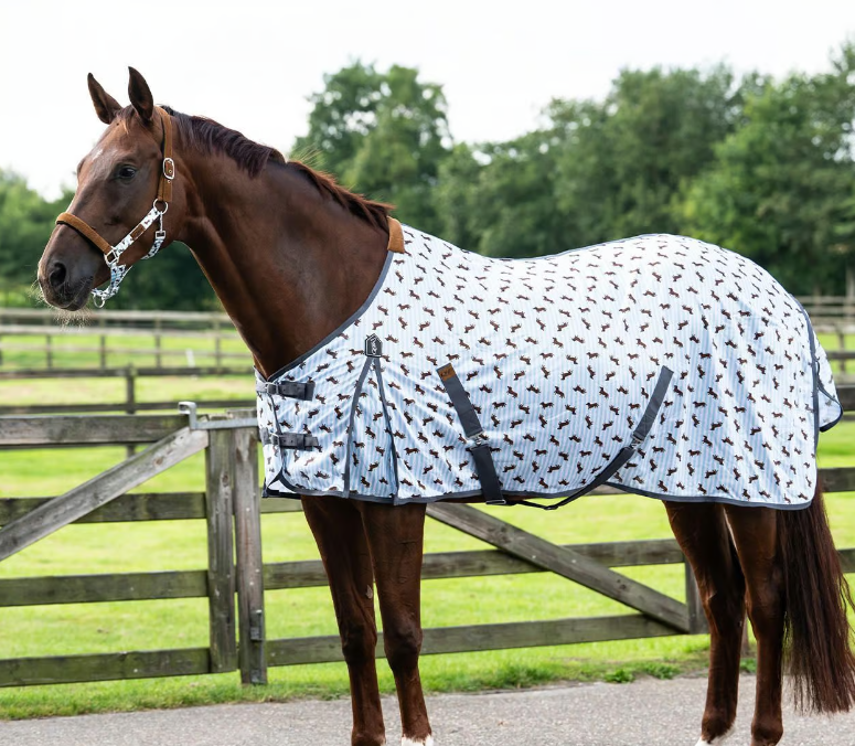 Couverture anti mouches Teckel Stable buddy - QHP