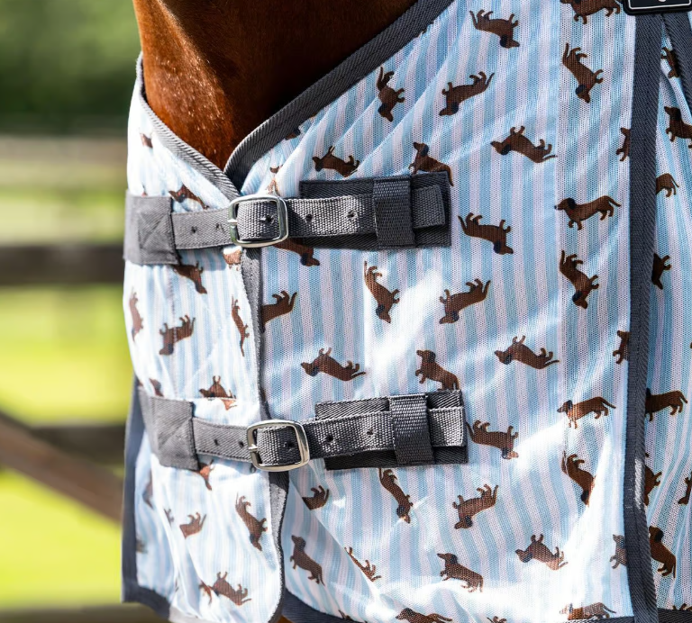 Couverture anti mouches Teckel Stable buddy - QHP
