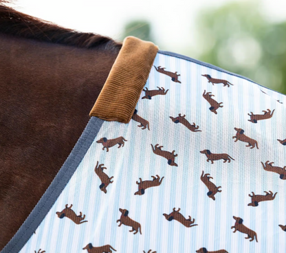 Couverture anti mouches Teckel Stable buddy - QHP