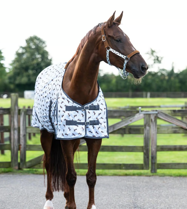 Couverture anti mouches Teckel Stable buddy - QHP