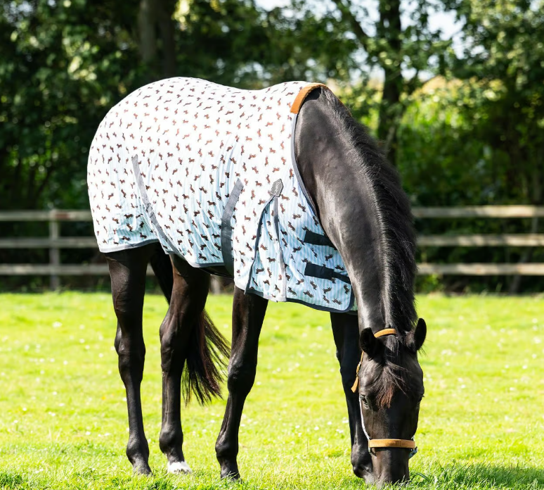 Couverture anti mouches Teckel Stable buddy - QHP