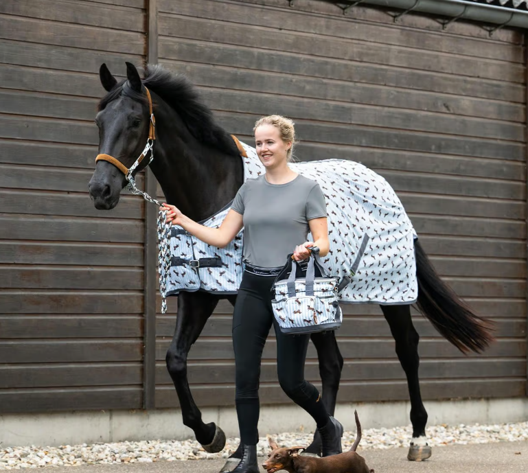 Couverture anti mouches Teckel Stable buddy - QHP