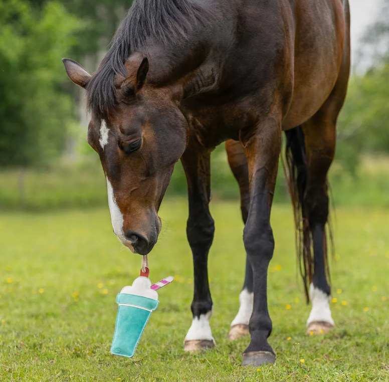 Jouet de box Milkshake – QHP