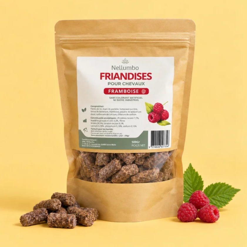 Friandises à la framboise - NELLUMBO