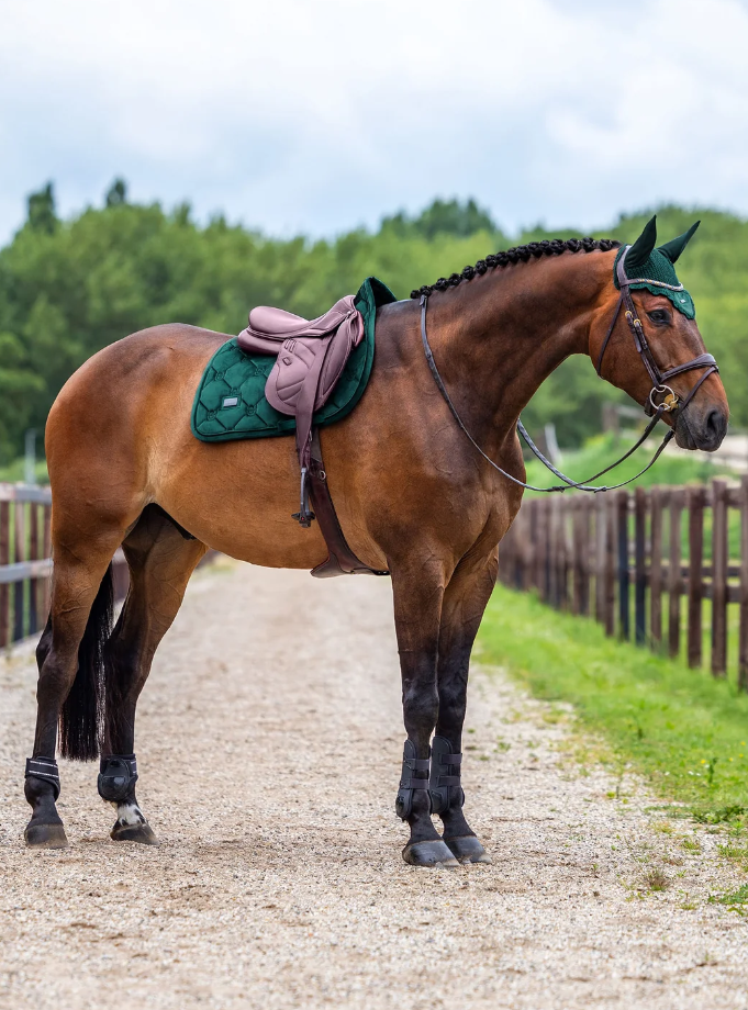 Tapis de selle Velvet Sycamore Green MIXTE – EQUESTRIAN STOCKHOLM