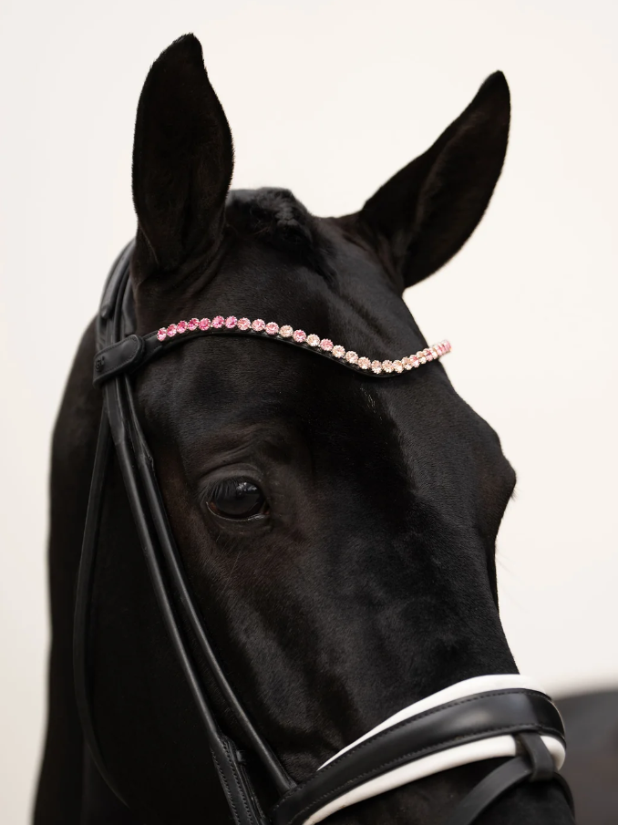Frontal strass Faded Pink 8mm - EQUESTRIAN STOCKHOLM