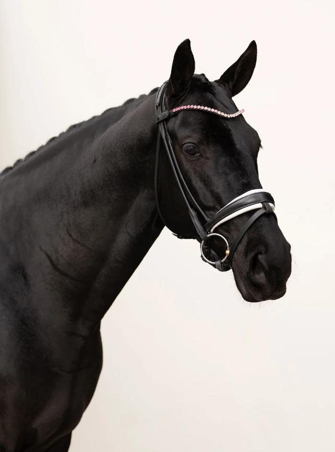 Frontal strass Faded Pink 8mm - EQUESTRIAN STOCKHOLM