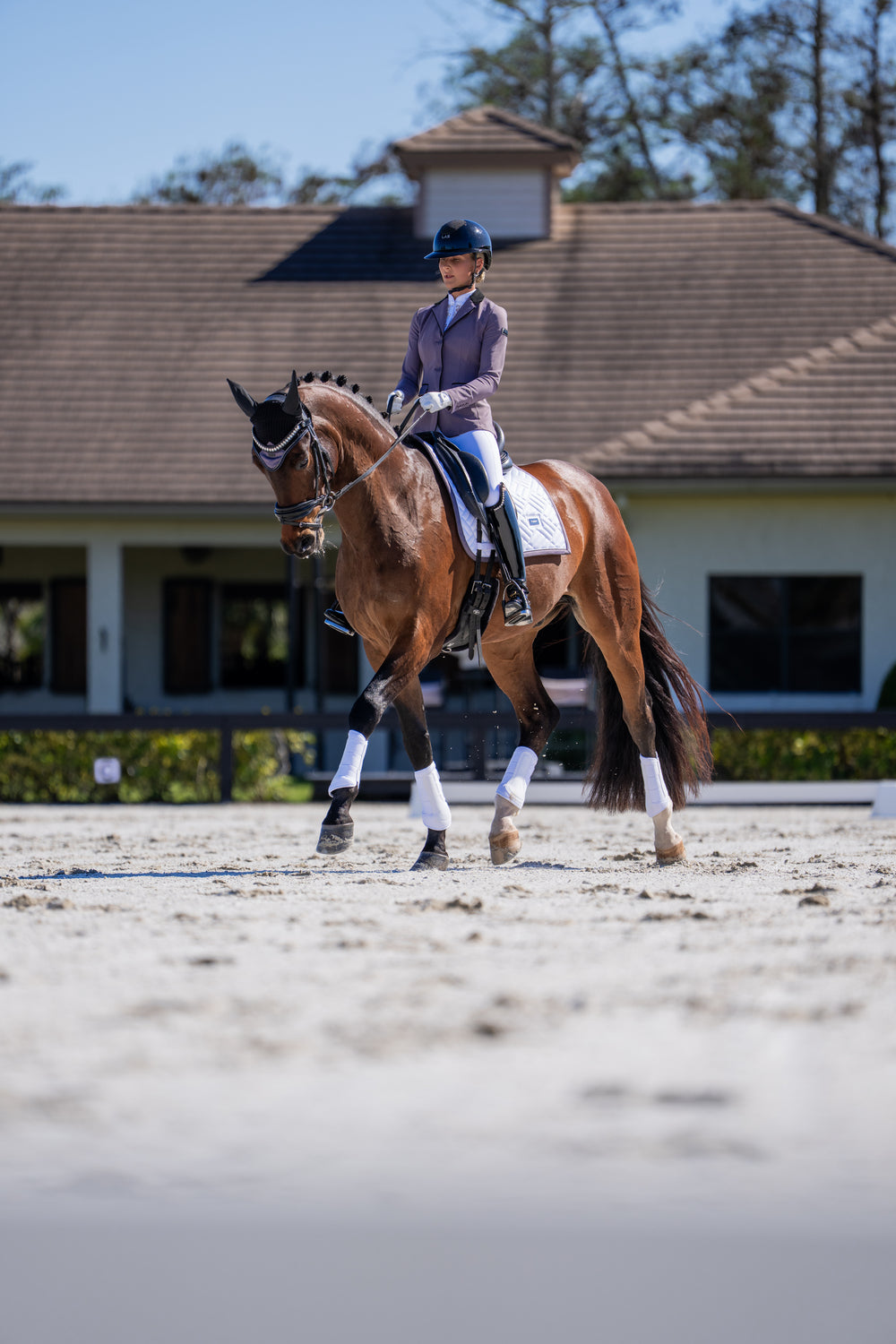 Tapis de selle Modern Blanc Dark Violet DRESSAGE - Equestrian Stockholm