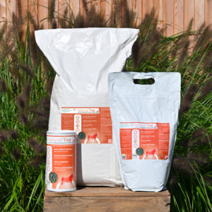 Complément vitalité Natural&