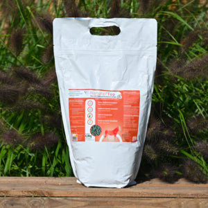 Complément vitalité Natural&