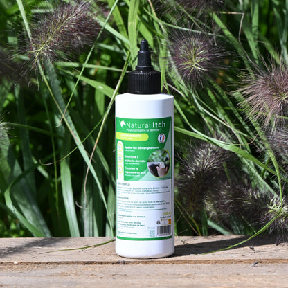 Treatment for dermatitis Natural&