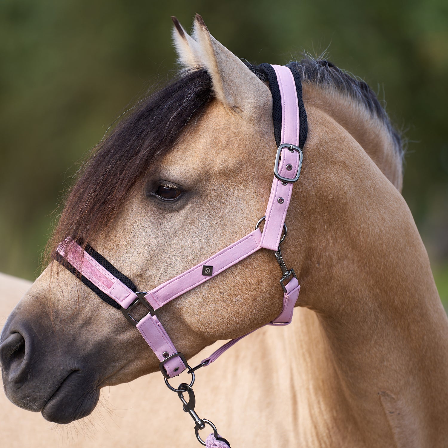 Licol Jewel Mesh - IMPERIAL RIDING
