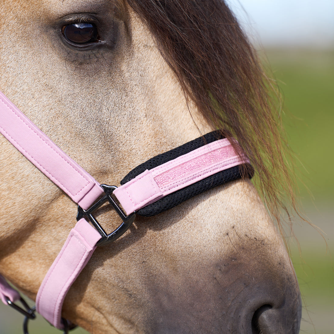 Licol Jewel Mesh - IMPERIAL RIDING