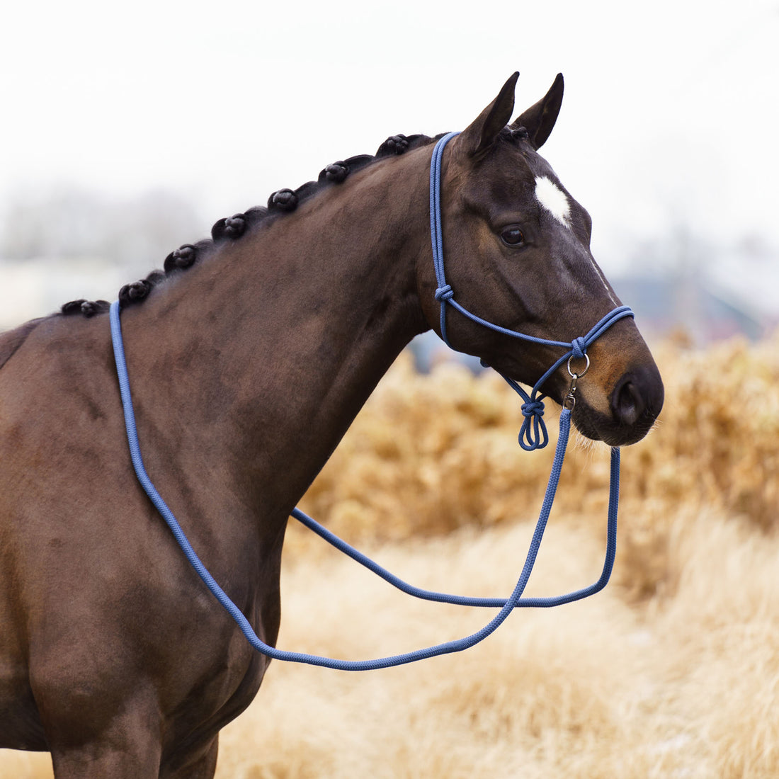 Licol en corde Free Ride  - IMPERIAL RIDING