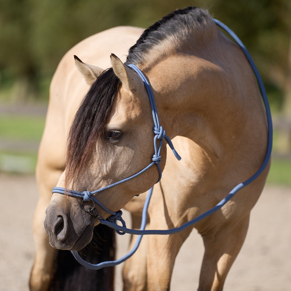 Licol en corde Free Ride  - IMPERIAL RIDING