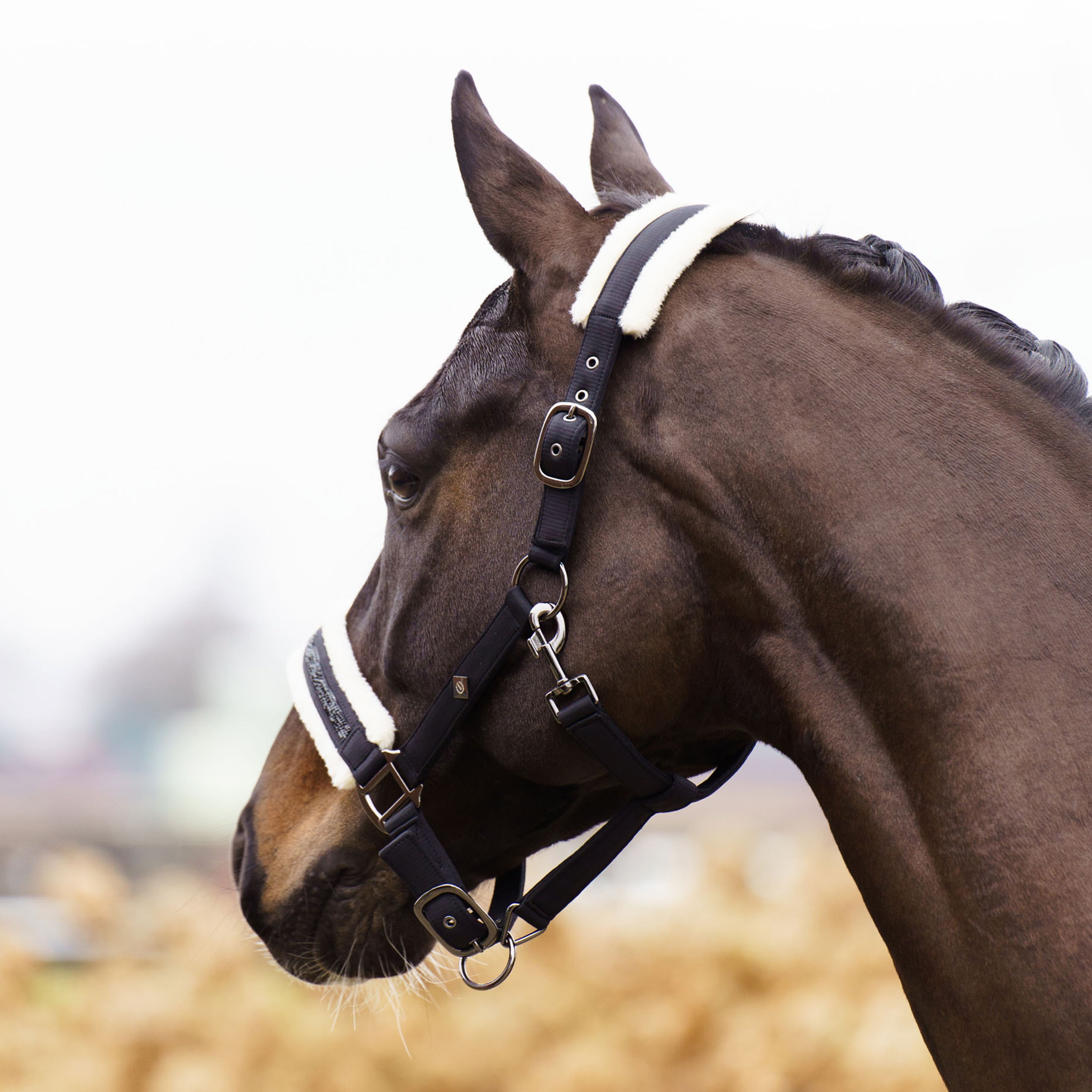 Licol Jewel - IMPERIAL RIDING