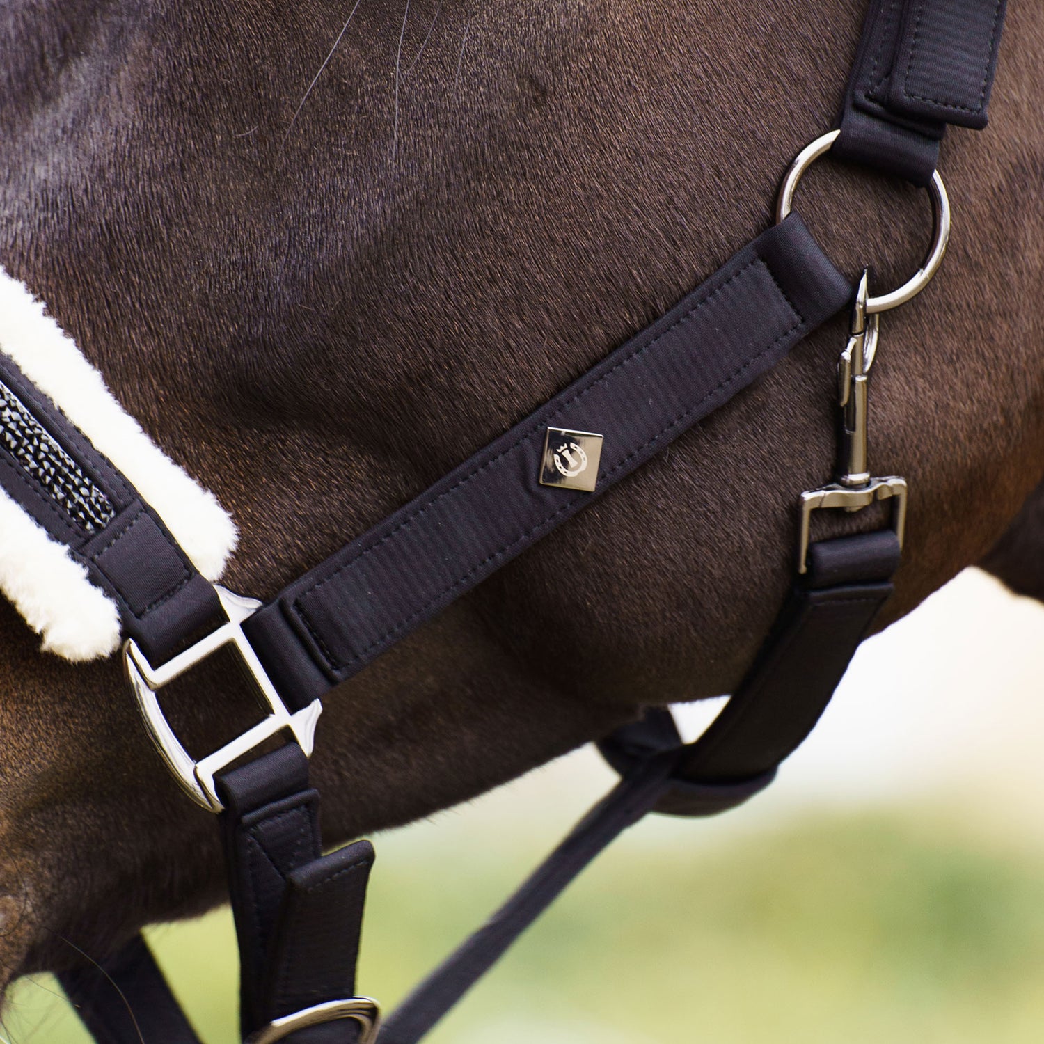 Licol Jewel - IMPERIAL RIDING