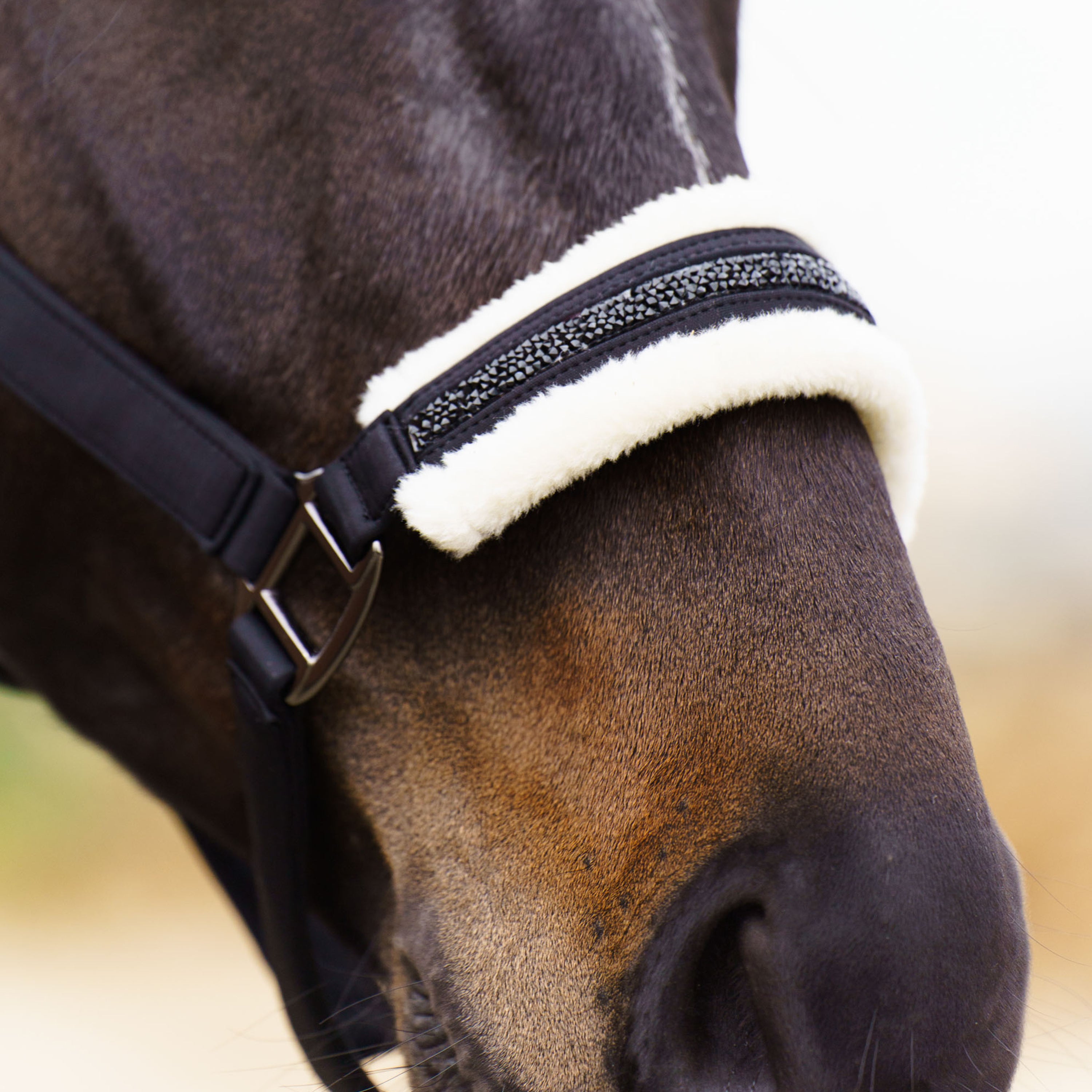 Licol Jewel - IMPERIAL RIDING