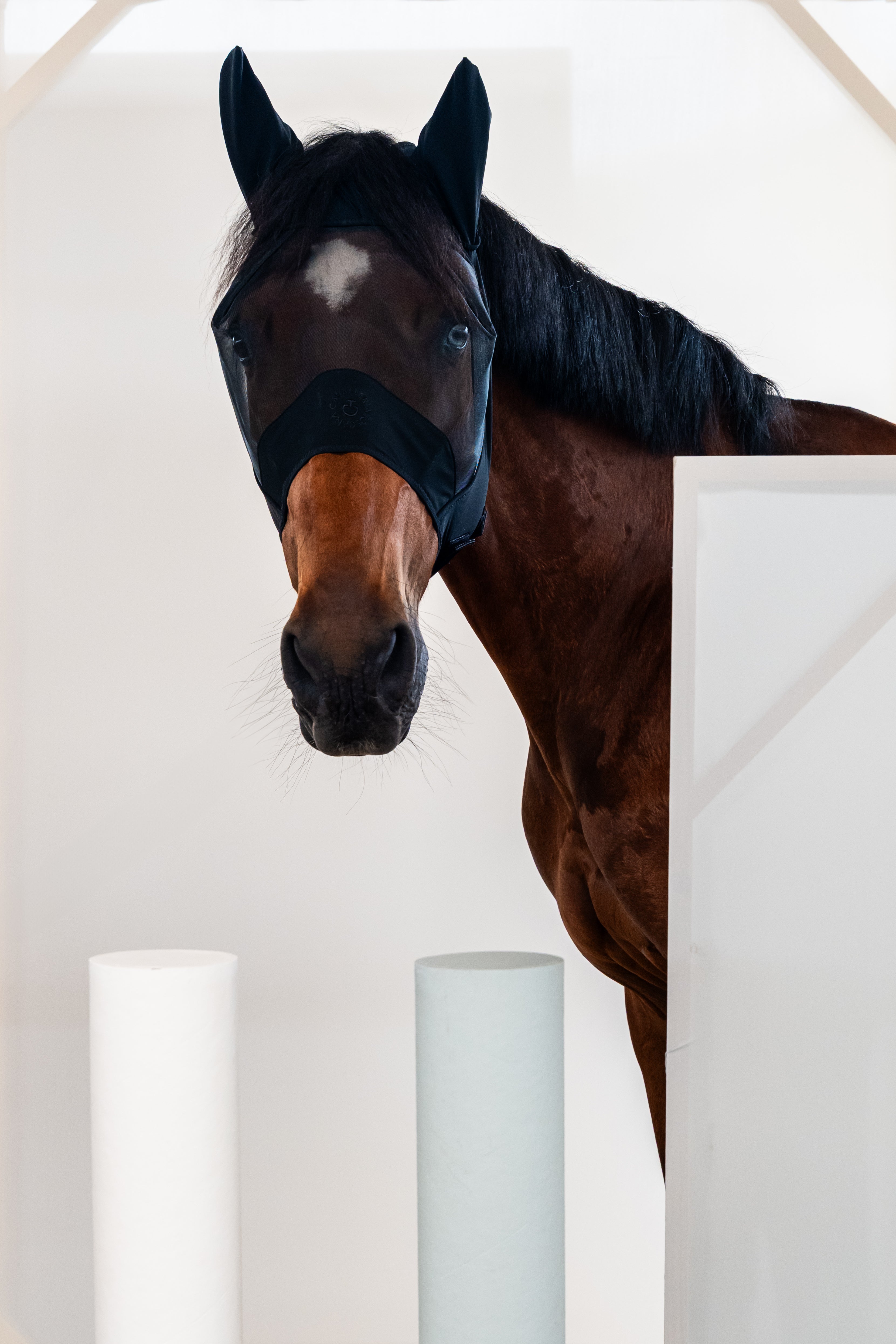 Bonnet anti-mouches long - CAVALLERIA TOSCANA