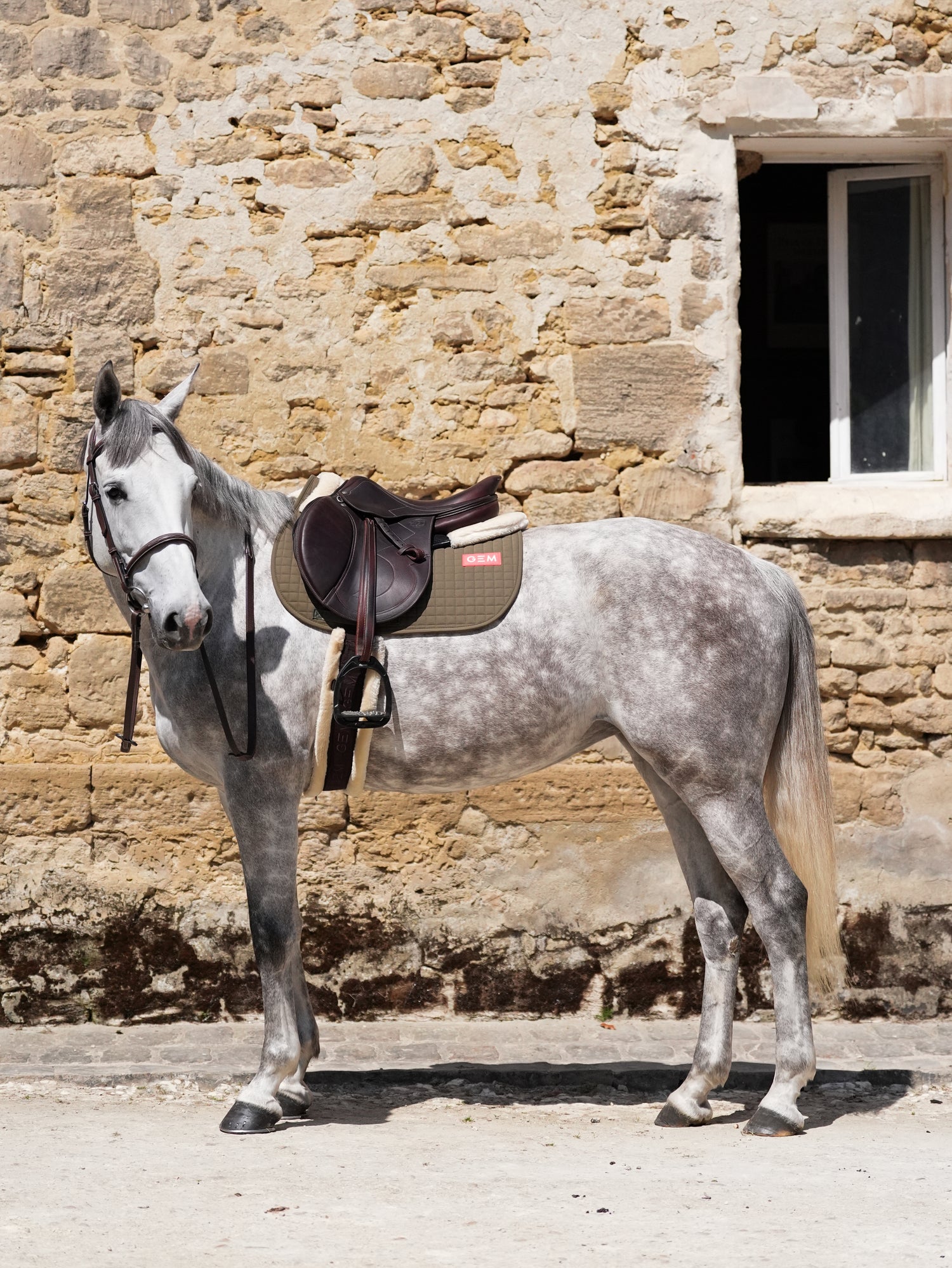 GEM EQUITATION Tapis de selle Leo Kaki – Equitrends