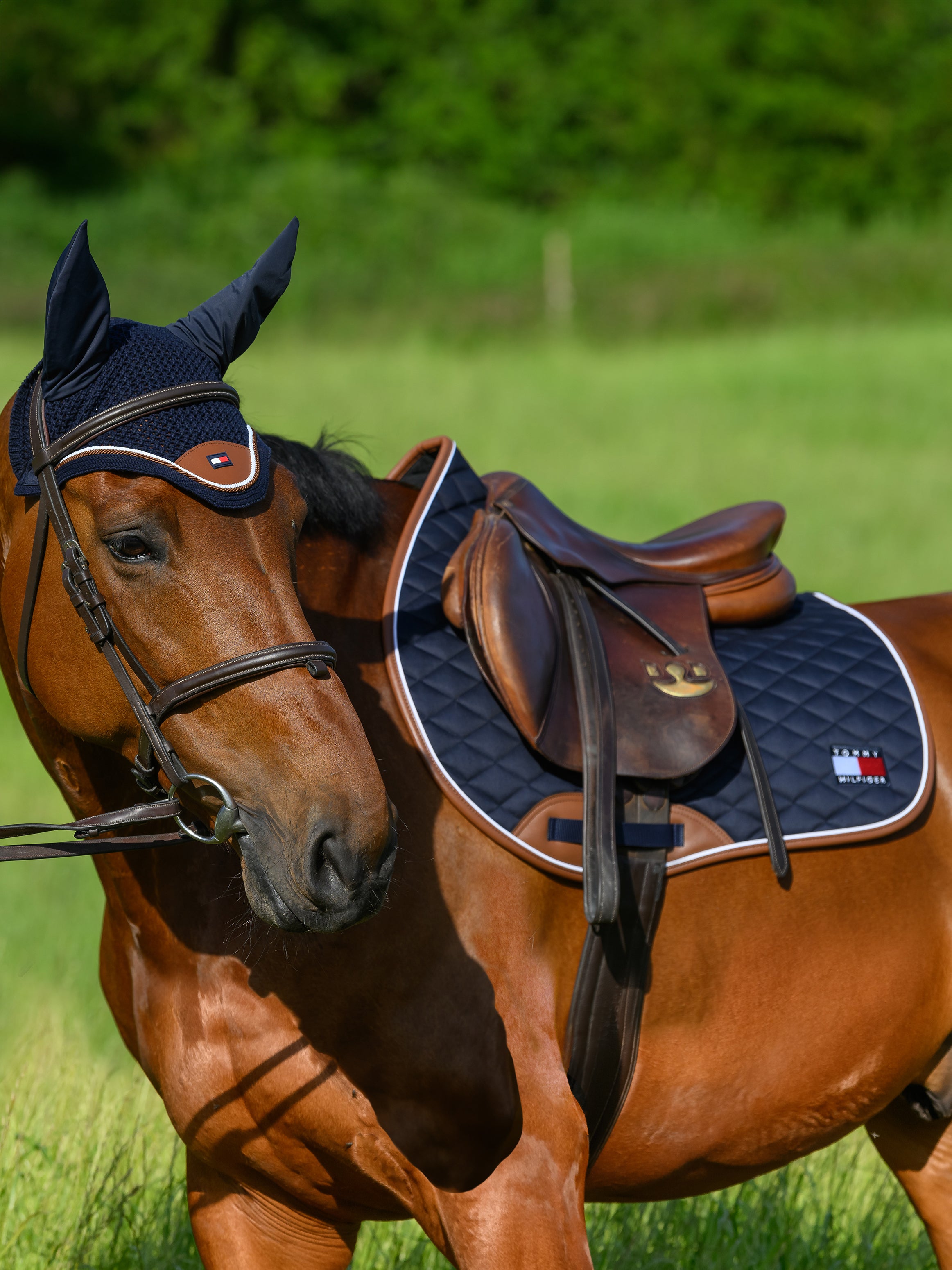 Tapis de selle Princeton MIXTE - Tommy Hilfiger
