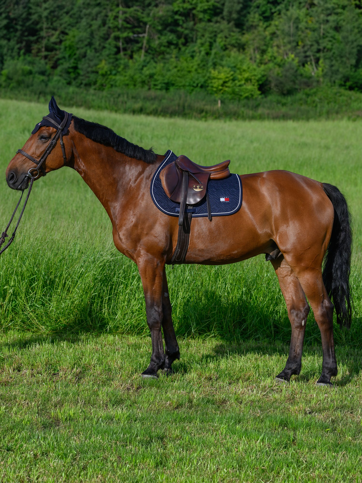 Tapis de selle Harvard MIXTE - TOMMY HILFIGER