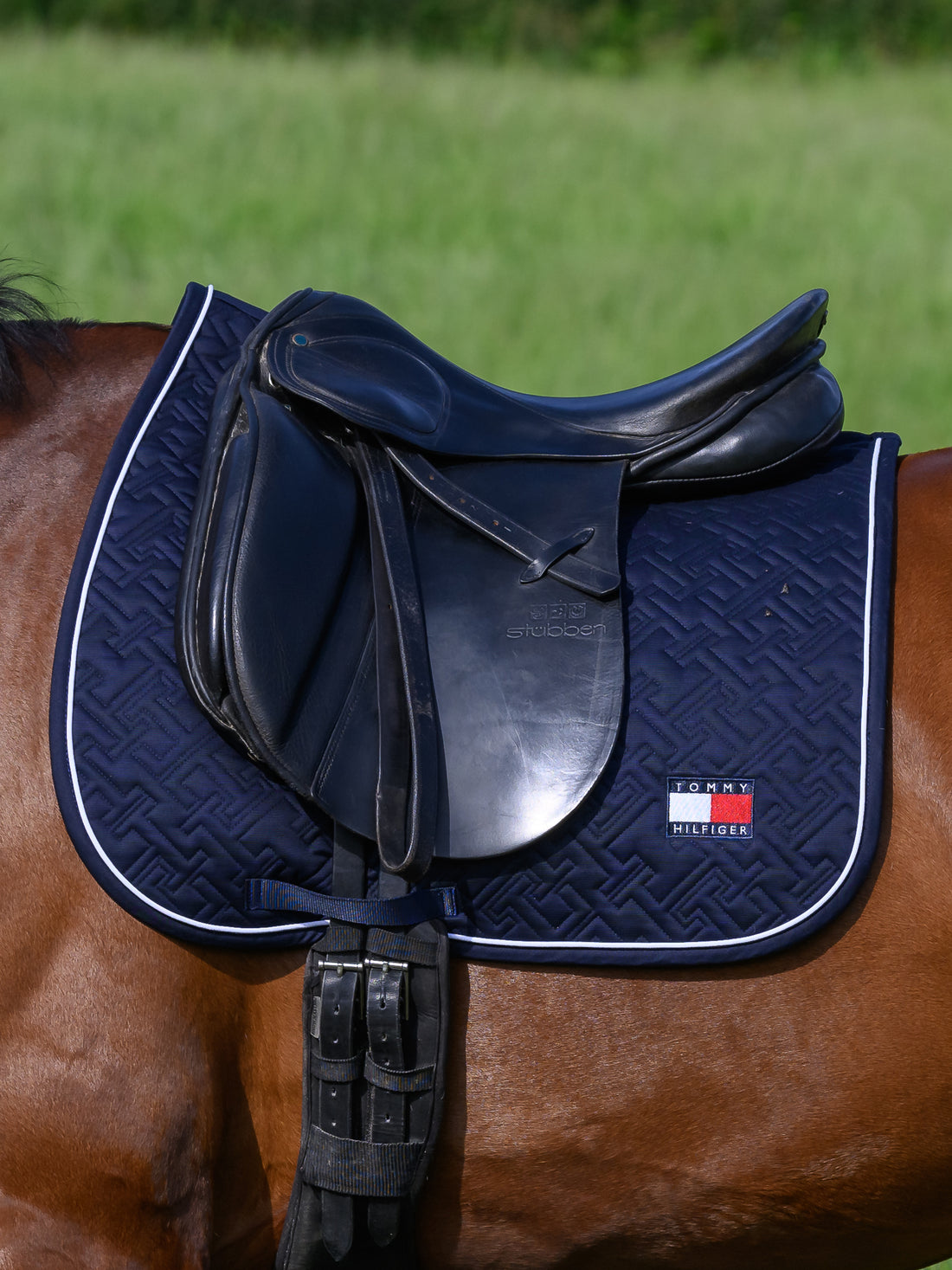 Tapis de selle Harvard  DRESSAGE - TOMMY HILFIGER