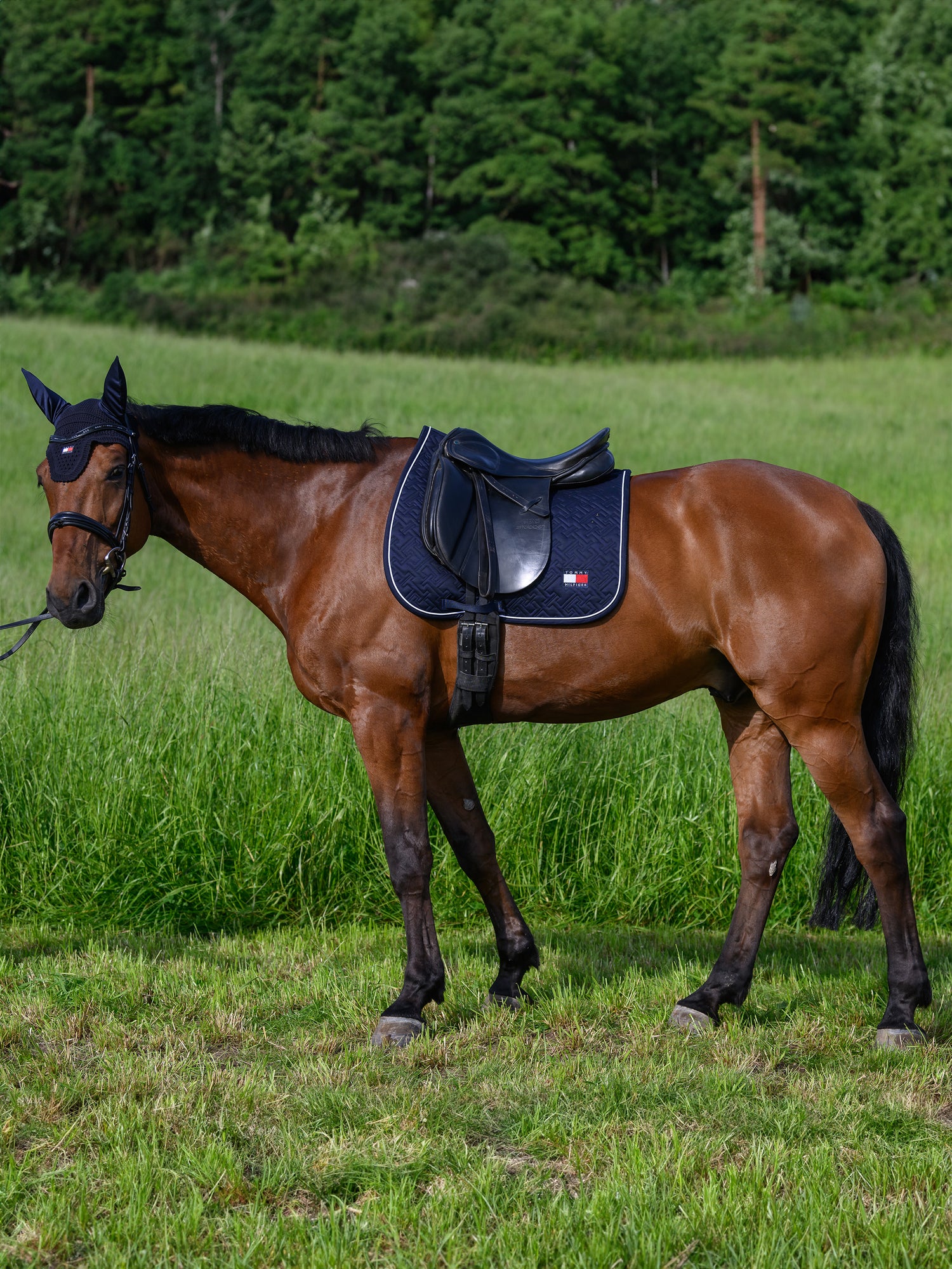 Tapis de selle Harvard  DRESSAGE - TOMMY HILFIGER