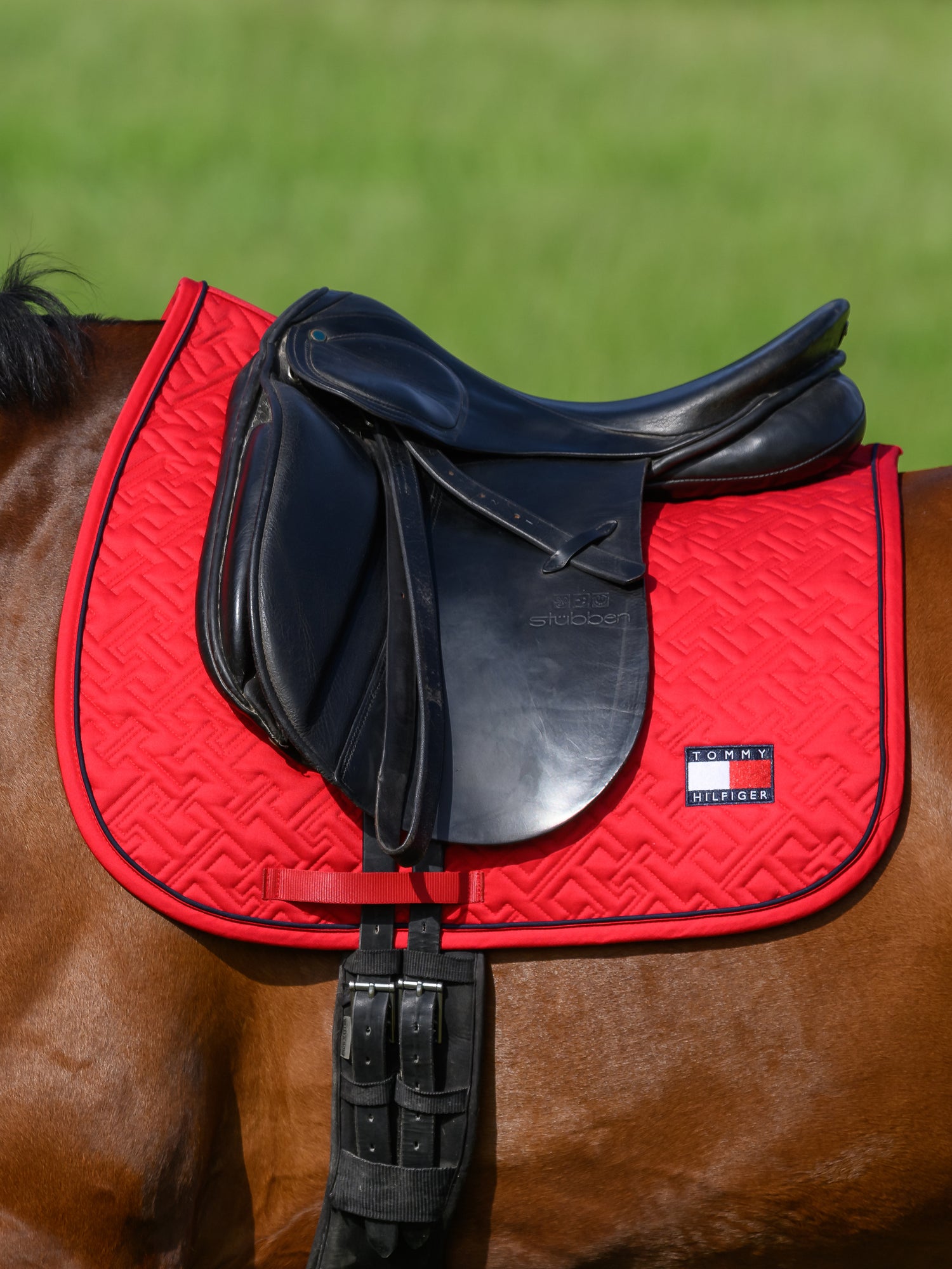 Tapis de selle Harvard  DRESSAGE - TOMMY HILFIGER