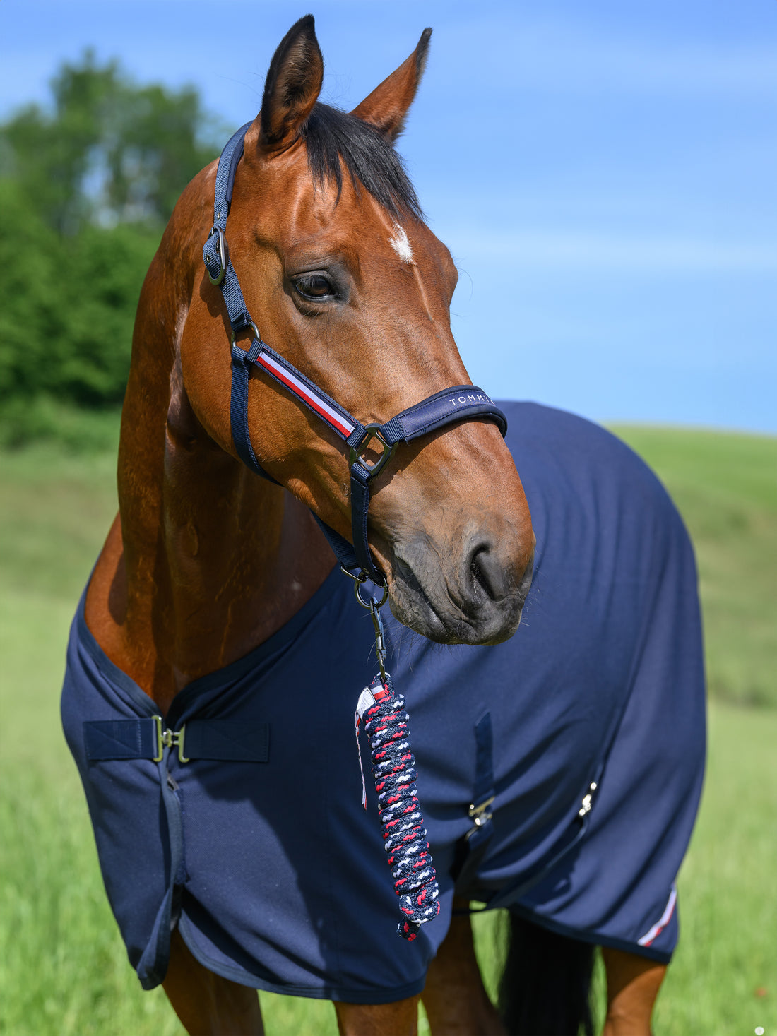 Set licol et longe Yale - Tommy Hilfiger