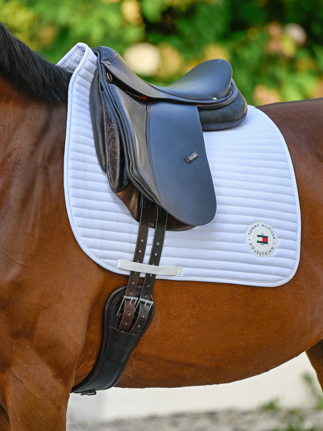 Tapis de selle Upstate DRESSAGE - Tommy Hilfiger
